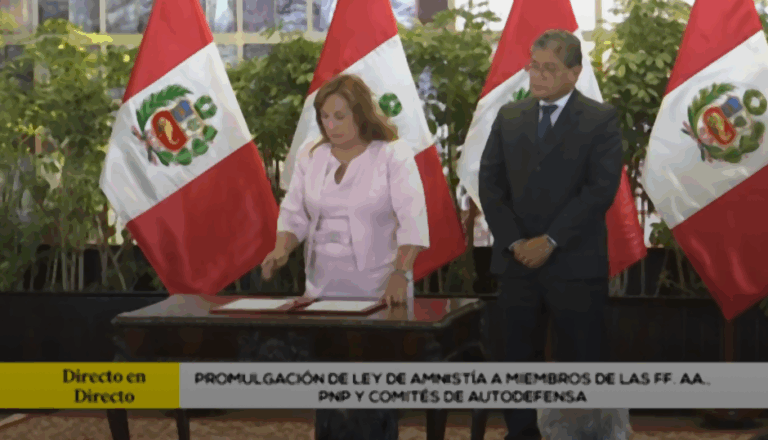 Lee más sobre el artículo Dina Boluarte promulga ley de amnistía a miembros de las FF.AA., PNP y comités de autodefensa